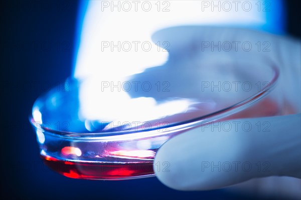 Studio shot of hand holding Petri dish with red liquid.