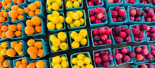 Market stall with colorful fruits in cartons.