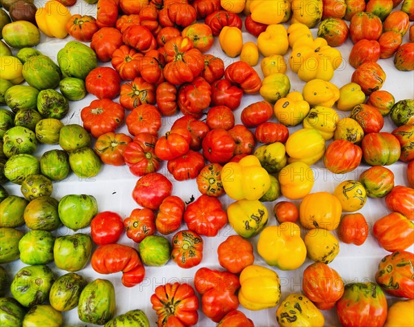 Studio shot of heirloom tomatoes.