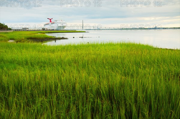 USA, South Carolina, Charleston, Green rushes on riverbank with ferry in background.