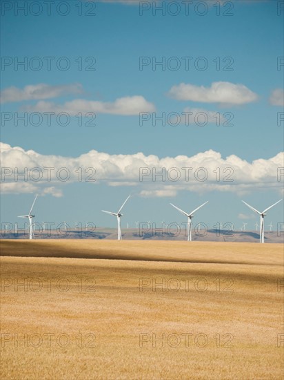 USA, Oregon, Wasco, Wheat field and wind farm in bright sunshine under blue sky.