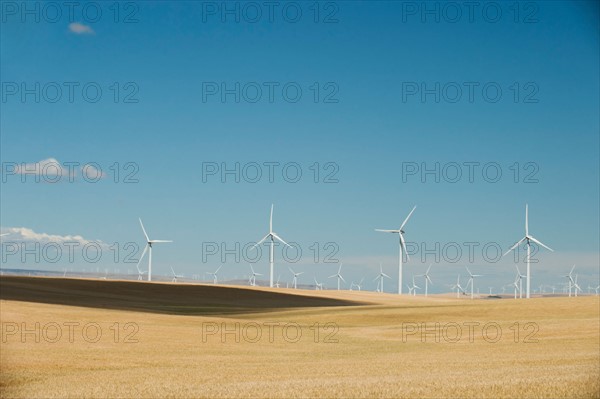 USA, Oregon, Wasco, Wheat field and wind farm in bright sunshine under blue sky. Photo: Erik Isakson