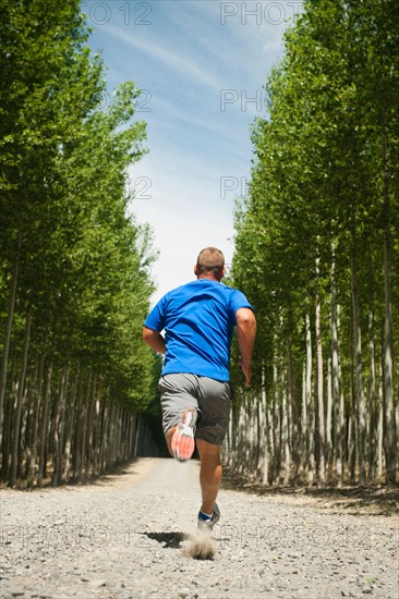 Man running between rows of poplar trees in tree farm.