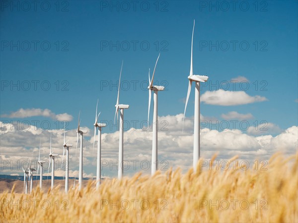 USA, Oregon, Wasco, Wheat field and wind farm in bright sunshine under blue sky. Photo: Erik Isakson