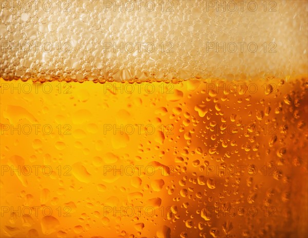 Close-up of lager in glass.