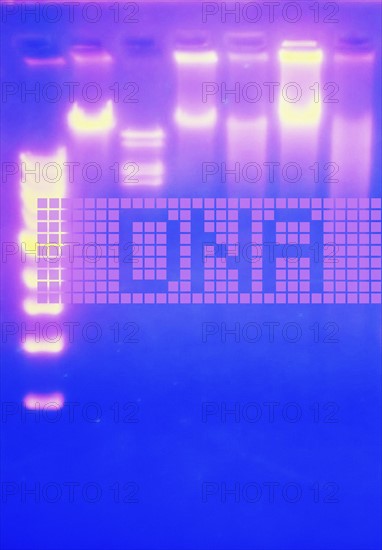 DNA pattern, studio shot.