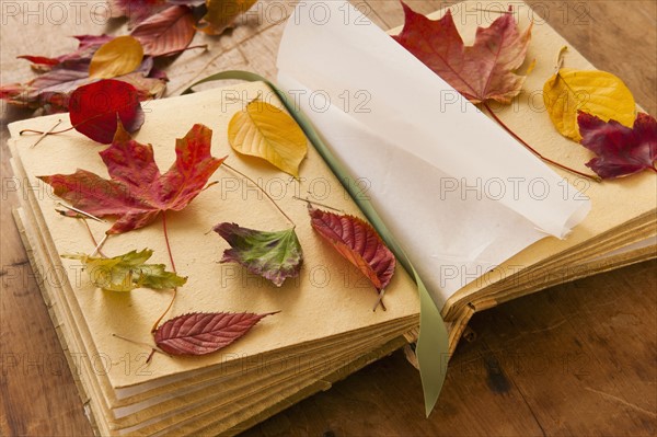 Autumn leaves on book, studio shot.