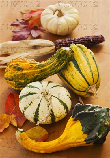 Colorful gourds, studio shot.