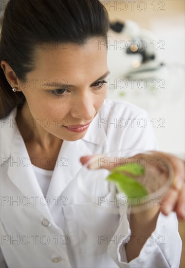 Female scientist examining sample.