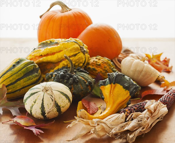 Variety of pumpkins, studio shot.
