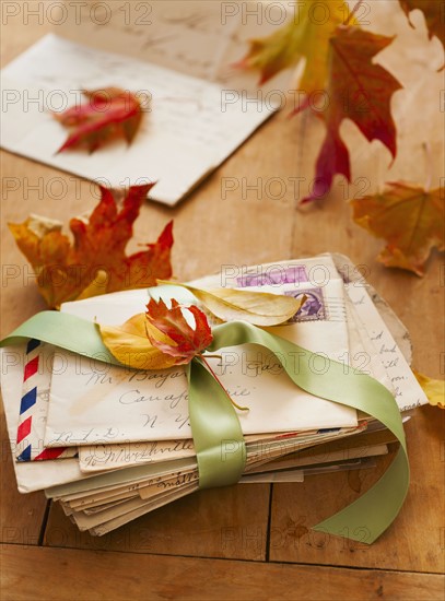 Autumn leaves on letters, studio shot.