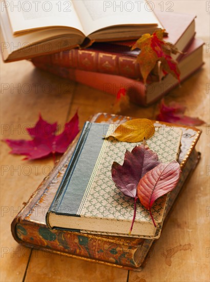 Autumn leaves on books, studio shot.