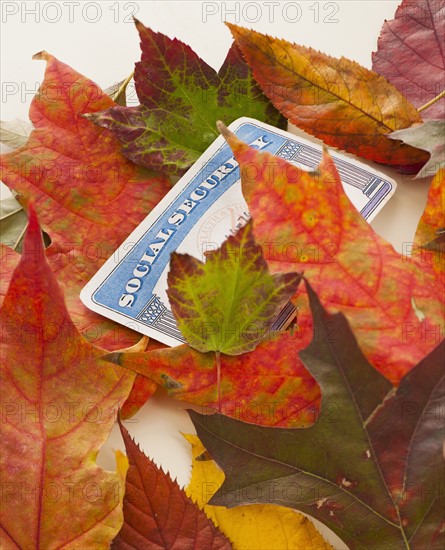 Social security card and autumn leaves, studio shot.