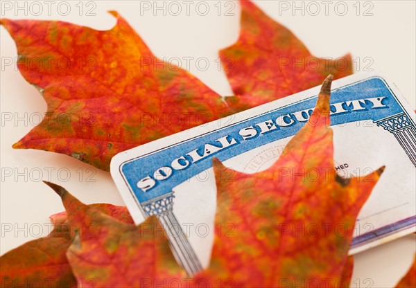 Social security card and autumn leaves, studio shot.