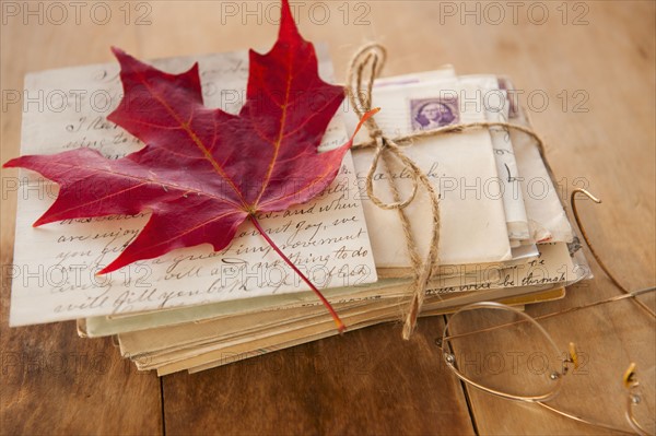 Autumn leaf on letters, studio shot.