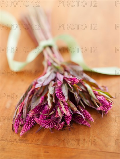 Bunch of purple Eremurus on wooden table.