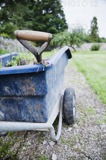 Ireland, County Westmeath, Wheelbarrow in backyard. Photo : Jamie Grill