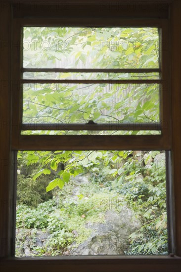 Roaring Brook Lake, Close up of branch behind window. Photo: Jamie Grill