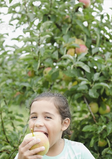 Close up of girl (8-9) eating apple in orchard. Photo : Jamie Grill