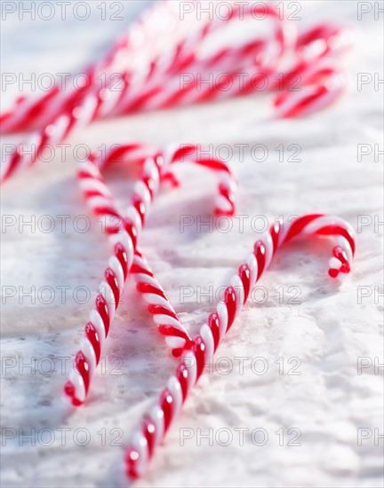 Christmas candy canes. Photo : Daniel Grill