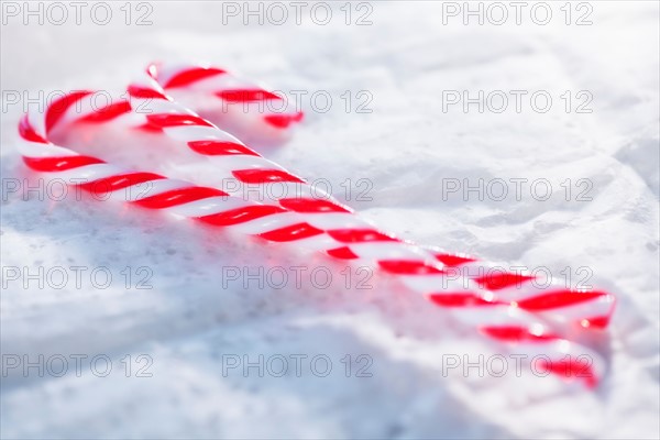 Christmas candy canes. Photo : Daniel Grill