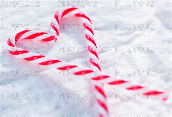 Christmas candy canes. Photo: Daniel Grill