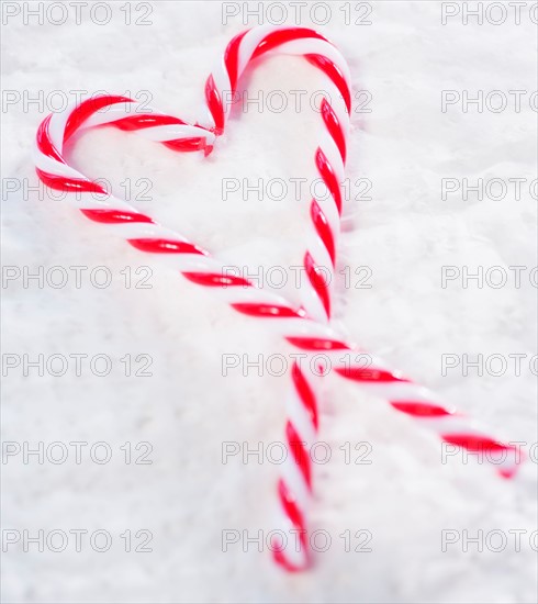 Christmas candy canes. Photo : Daniel Grill