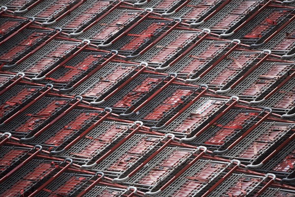 Full frame shot of supermarket trolleys. Photo: fotog