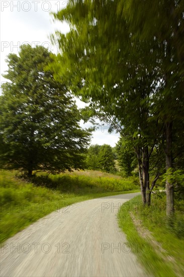 USA, New York State, Single lane road. Photo : John Kelly