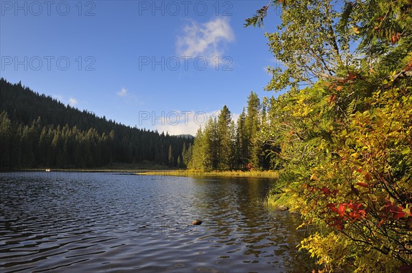 USA, Oregon, Multnomah County, Trillium Lake. Photo : Gary Weathers