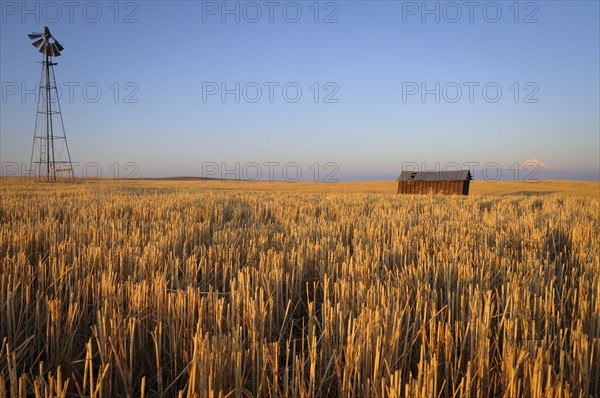 USA, Oregon, Wosco county, Rural scene with solitary barn. Photo : Gary Weathers