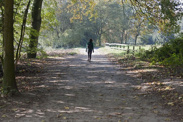 The Netherlands, Veluwezoom, Posbank, Hiker in countryside. Photo : Jan Scherders