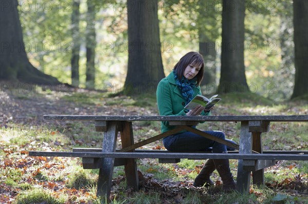 The Netherlands, Veluwezoom, Posbank, Woman reading book in park. Photo : Jan Scherders