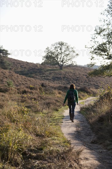 The Netherlands, Veluwezoom, Posbank, Hiker in countryside. Photo : Jan Scherders