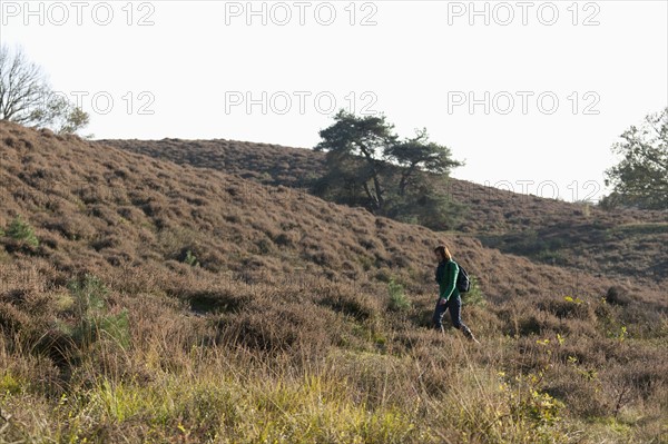 The Netherlands, Veluwezoom, Posbank, Hiker in countryside. Photo : Jan Scherders