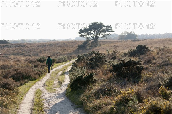 The Netherlands, Veluwezoom, Posbank, Hiker in countryside. Photo : Jan Scherders