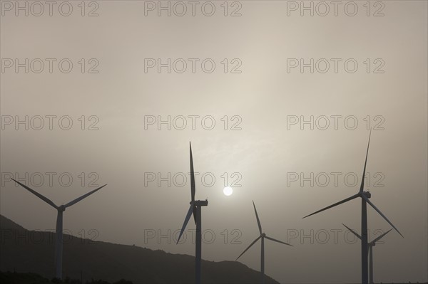 Silhouettes of wind turbines. Photo : Noah Clayton