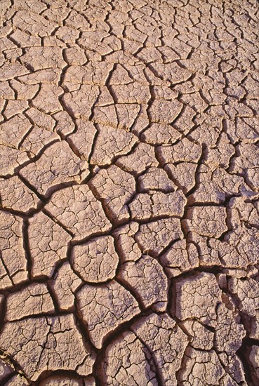 Mexico, Baja California, Dry lake bed. Photo : DKAR Images