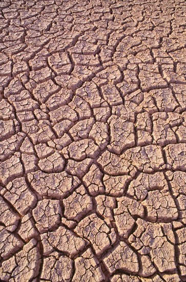 Mexico, Baja California, Dry lake bed. Photo: DKAR Images