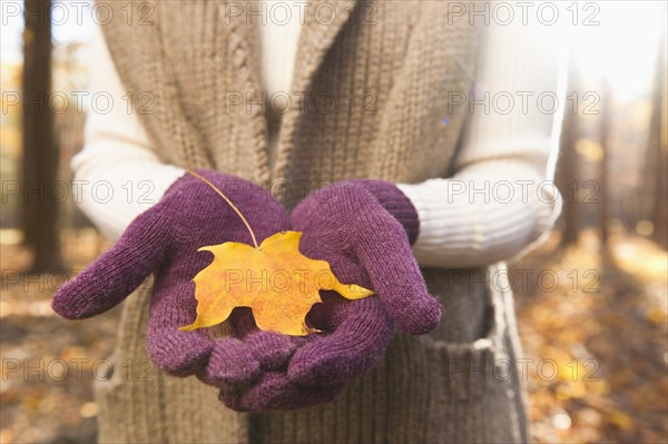 USA, New Jersey, Woman holding leaves in Autumn forest, mid section. Photo : Tetra Images