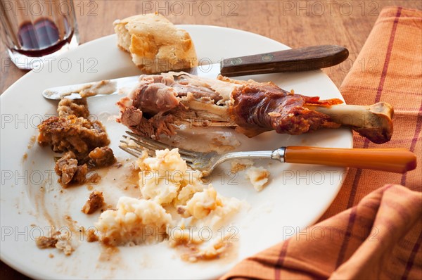 Studio shot of turkey leg with potatoes.