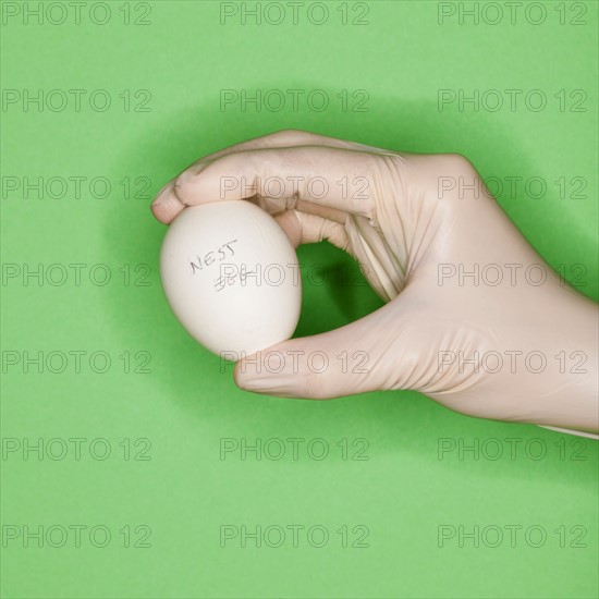 Hand in surgical glove holding egg.