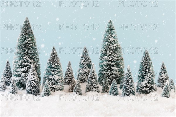 Pine trees covering by snow, studio shot.
