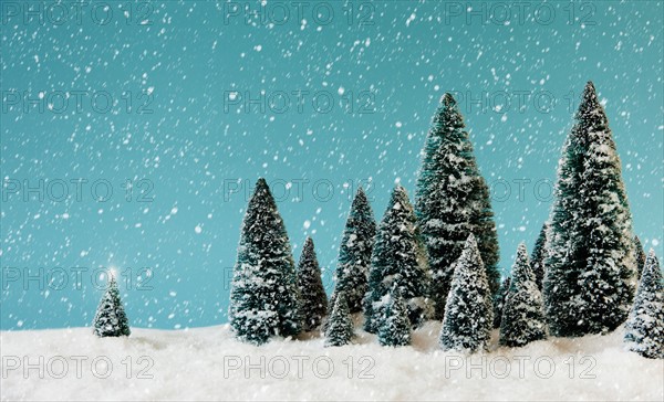 Pine trees covering by snow, studio shot.