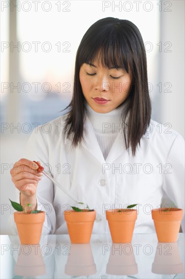 Scientist dropping liquid into seedlings.