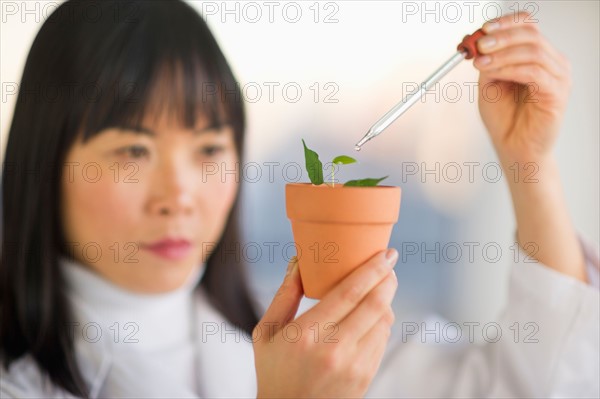 Scientist dropping liquid into seedlings.