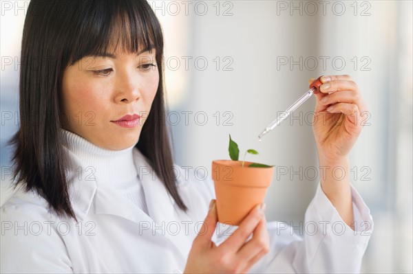 Scientist dropping liquid into seedlings.