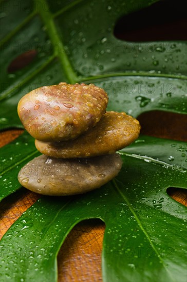 Spa stones on tropical leaf, studio shot.