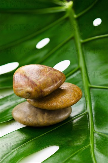 Spa stones on tropical leaf, studio shot.