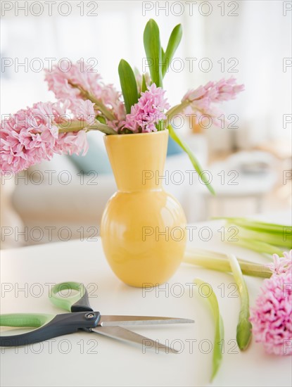 Preparing bouquet. Photo : Jamie Grill